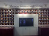 SHC Int'l HQ